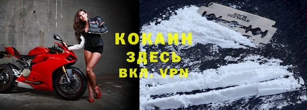 кокс Баксан